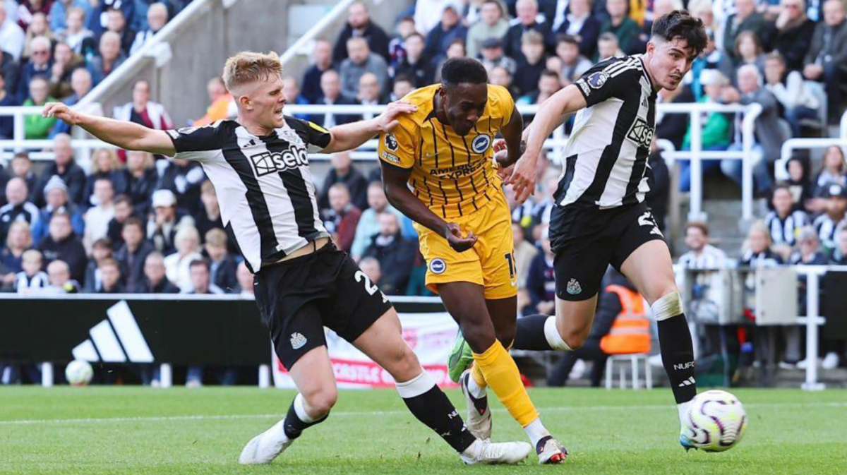 Dự đoán tỷ số Newcastle - Benfica: 1-1